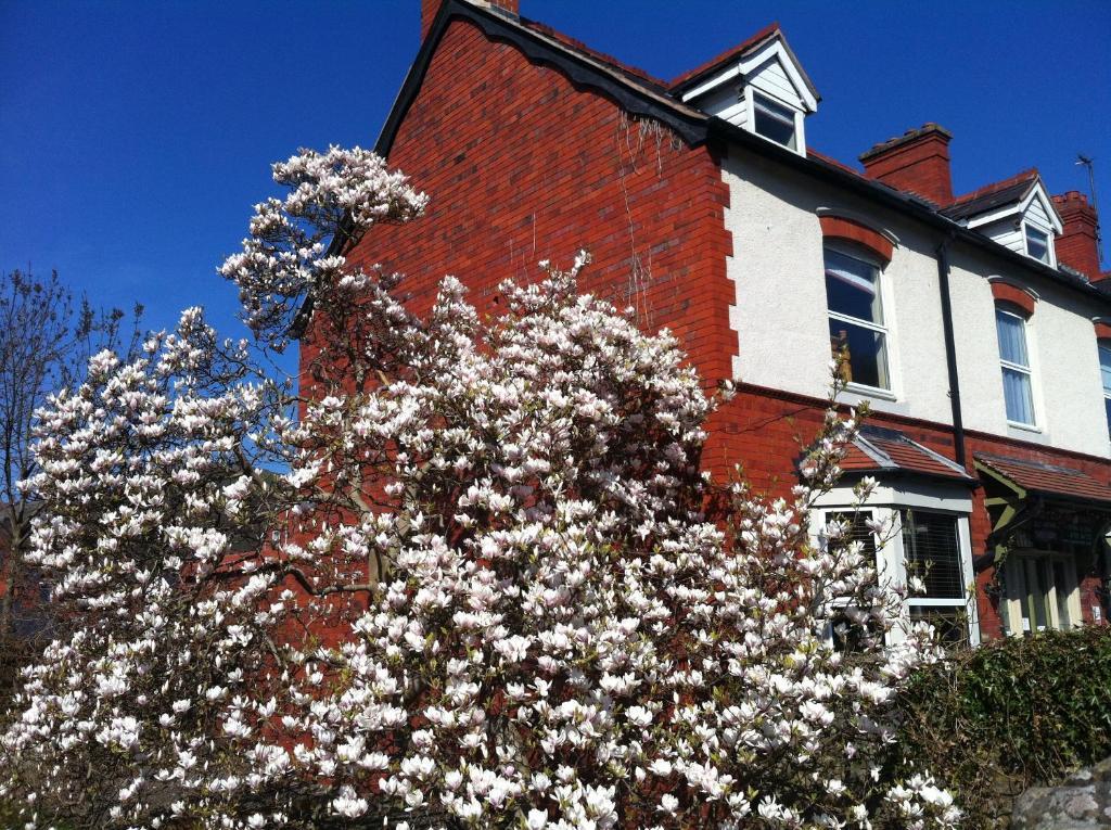 Llangollen Hostel Guest Rooms - No Dormitories - Self Catering Exterior photo